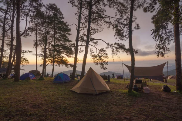 Dağ tepesinde kamp çadırları gezide mavi gökyüzünde ağaçlar, doğa manzarası, Tayland 'ın kuzeyi Chiang Mai. Ulusal park.
