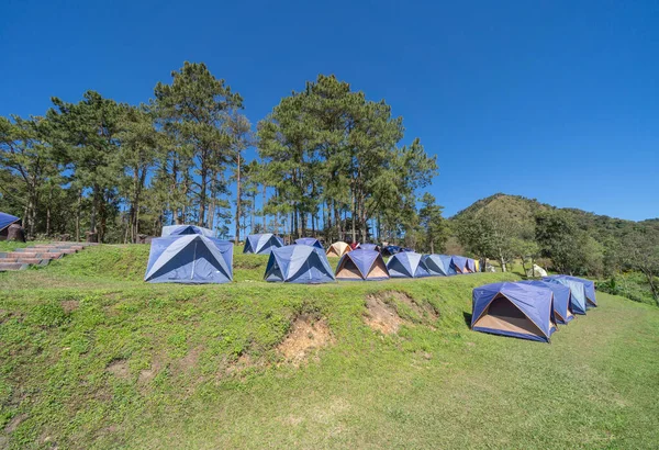 Camping Área Tendas Montanha Com Árvores Céu Azul Viagem Natureza — Fotografia de Stock