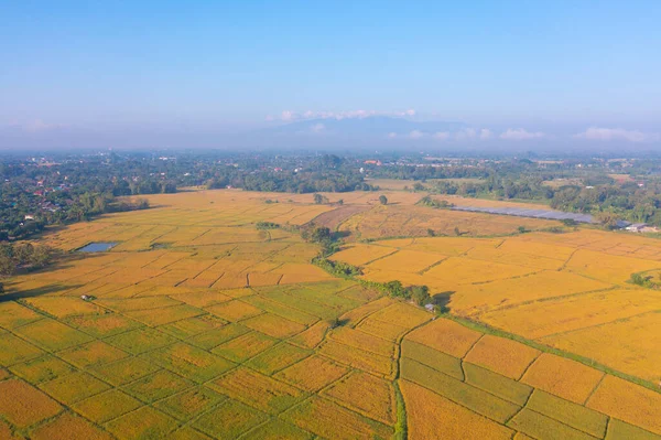 아시아 시골이나 지역에 농토등을 공중에서 수있다 — 스톡 사진