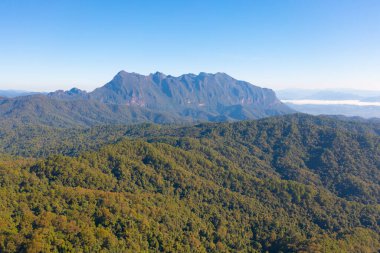 Doi Luang Chiang Dao, Chiang Mai, Tayland orman ağaçları ve yeşil dağ tepeleri. Doğa manzarası arka planı.