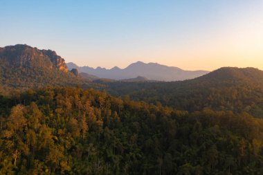 Orman ağaçlarının ve yeşil dağ tepelerinin havadan görünüşü. Doğa manzarası arka planı, Tayland.
