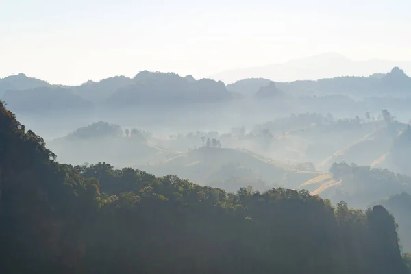 Aerial Top View Forest Trees Green Mountain Hills Sea Fog — Stock fotografie