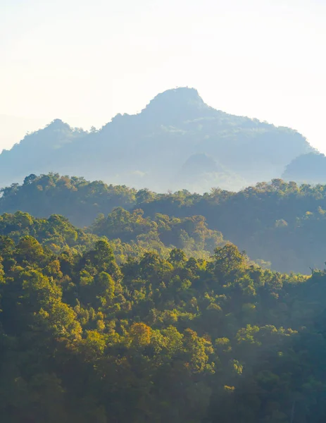 Orman ağaçlarının ve deniz sisi, sis ve bulutlu yeşil dağ tepelerinin havadan görünüşü. Doğa manzarası arka planı, Tayland.
