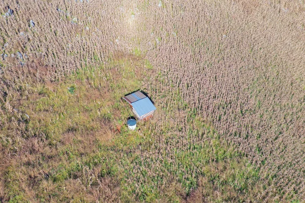 Αεροφωτογραφία Ενός Σπιτιού Ξηρό Γρασίδι Ρύζι Και Καλλιέργειες Τομέα Πράσινο — Φωτογραφία Αρχείου