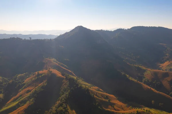 Aerial Top View Forest Trees Green Mountain Hills Nature Landscape — Stock fotografie