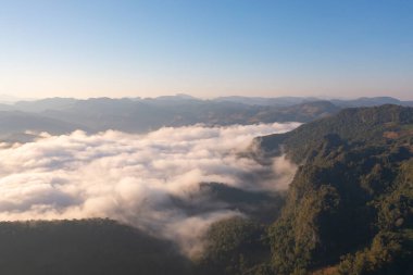 Orman ağaçlarının ve deniz sisi, sis ve bulutlu yeşil dağ tepelerinin havadan görünüşü. Doğa manzarası arka planı, Tayland.