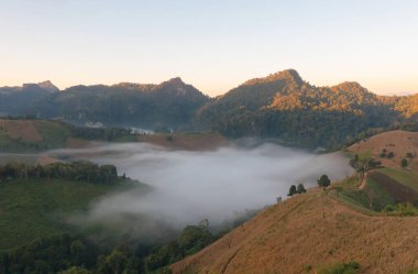Orman ağaçlarının ve deniz sisi, sis ve bulutlu yeşil dağ tepelerinin havadan görünüşü. Doğa manzarası arka planı, Tayland.