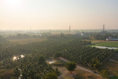 Doğa manzaralı yüksek voltaj kutupları. Elektrik kulesindeki elektrik hatları ve elektrik teknolojisi, ağ ve endüstri konseptindeki kablolar. Jeneratör pilonu. Aktarım ve alt istasyon.