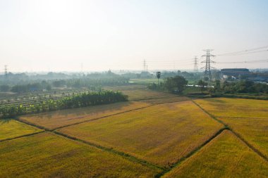 Doğa manzaralı yüksek voltaj kutupları. Elektrik kulesindeki elektrik hatları ve elektrik teknolojisi, ağ ve endüstri konseptindeki kablolar. Jeneratör pilonu. Aktarım ve alt istasyon.