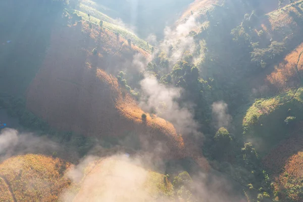 Aerial Top View Forest Trees Green Mountain Hills Sea Fog — Stock fotografie