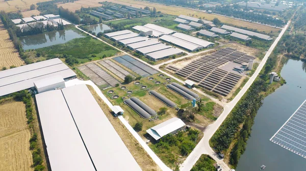 Vista Aérea Superior Telhado Fazenda Indústria Plantas Jardim Conceito Agricultura — Fotografia de Stock