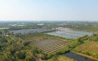 Yaz mevsiminde ulusal parktaki tropikal ormanın yukarısından yemyeşil ağaçların havadan görünüşü. Doğa manzarası. Desen dokusu arkaplanı.
