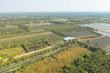 Yaz mevsiminde ulusal parktaki tropikal ormanın yukarısından yemyeşil ağaçların havadan görünüşü. Doğa manzarası. Desen dokusu arkaplanı.