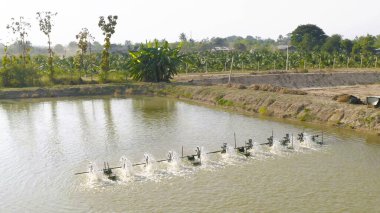 Göl, göl ya da nehir üzerindeki su türbinlerinin sanayi fabrikasındaki tarım alanındaki görüntüsü. Güç, sürdürülebilir yeşil temiz enerji ve çevre kavramı. Doğa yeniliği.