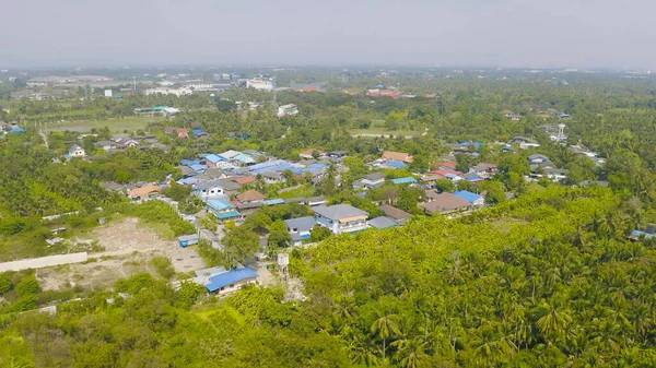 Vista Aérea Superior Exuberantes Árboles Verdes Desde Arriba Bosque Tropical — Foto de Stock