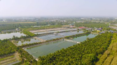 Doğal deniz tuzlu göletlerinin havadan görünüşü, göl ya da deniz. Tayland 'da geleneksel sanayide çiftlik arazisi. Asya kültürü. Tarım sulama. Nehir yansıması.