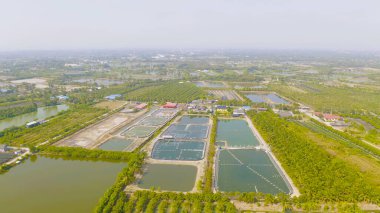 Doğal deniz tuzlu göletlerinin havadan görünüşü, göl ya da deniz. Tayland 'da geleneksel sanayide çiftlik arazisi. Asya kültürü. Tarım sulama. Nehir yansıması.