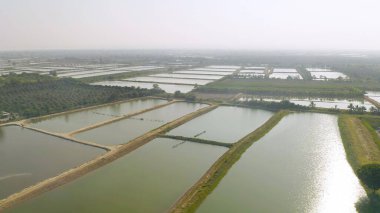 Doğal deniz tuzlu göletlerinin havadan görünüşü, göl ya da deniz. Tayland 'da geleneksel sanayide çiftlik arazisi. Asya kültürü. Tarım sulama. Nehir yansıması.