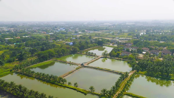 天然海盐池 湖泊或大海的空中景观 泰国传统工业中的户外农场 亚洲文化 农业灌溉 河流反射 — 图库照片
