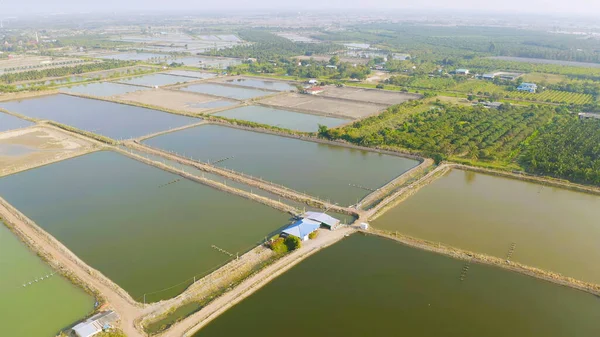 Vista Aerea Stagni Naturali Sale Marino Lago Mare Campo Agricolo — Foto Stock