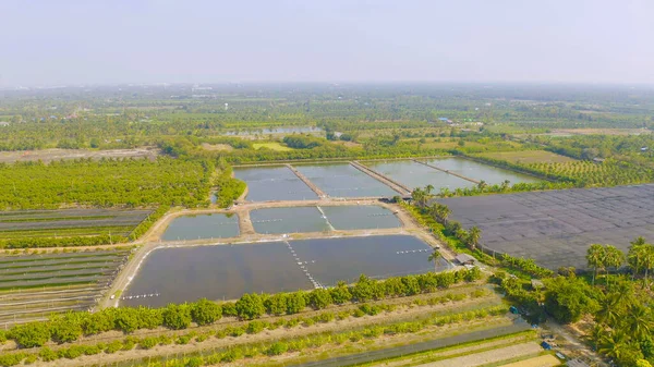 Doğal deniz tuzlu göletlerinin havadan görünüşü, göl ya da deniz. Tayland 'da geleneksel sanayide çiftlik arazisi. Asya kültürü. Tarım sulama. Nehir yansıması.
