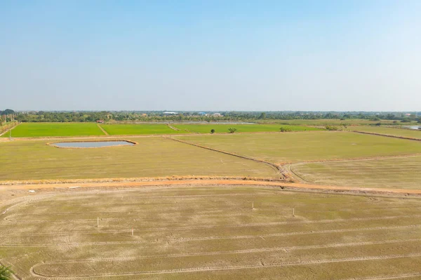 Taze çeltik pirincinin havadan görünüşü, Asya 'nın kırsal ya da kırsal kesimindeki yeşil tarım alanı. Doğa manzarası arka planı.