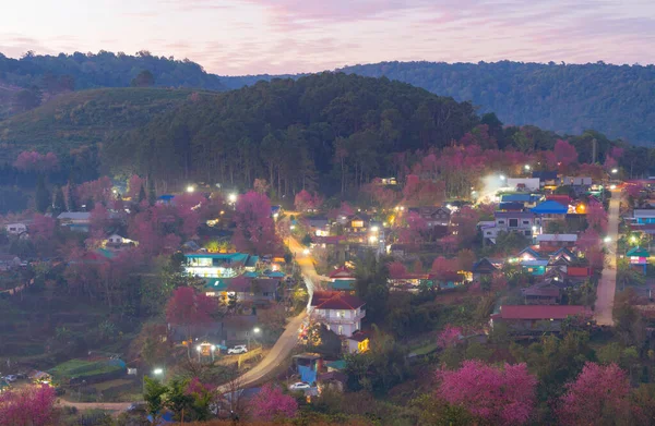 ピンクの桜 桜の木の空中ビュー 村の住宅 自然の風景 休日の休暇のコンセプトで旅行中の観光名所 都市の上からの都市住宅 — ストック写真