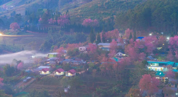 Luchtfoto Van Roze Kersenbloesem Sakura Bomen Woninghuizen Het Dorp Natuurlandschap — Stockfoto