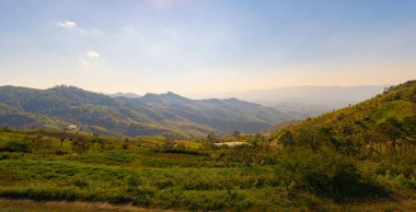 Orman ağaçlarının ve sisli, bulutlu yeşil dağ tepelerinin havadan görünüşü. Doğa manzarası arka planı, Tayland.