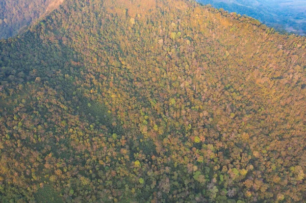 Повітряний Вид Дерев Зелених Гірських Пагорбів Туманом Туманом Хмарами Природний — стокове фото