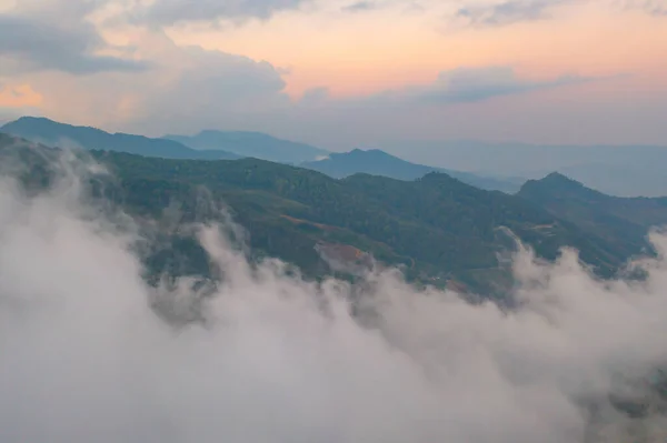 Вид Воздуха Лесные Деревья Зеленые Горные Холмы Туманом Туманом Облаками — стоковое фото