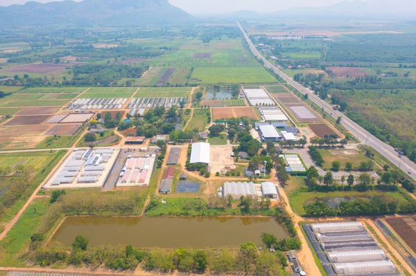 Luftaufnahme Des Daches Der Gartenpflanzenindustrie Bauernhof Landwirtschaftlichem Konzept Mit Reisfeld — Stockfoto