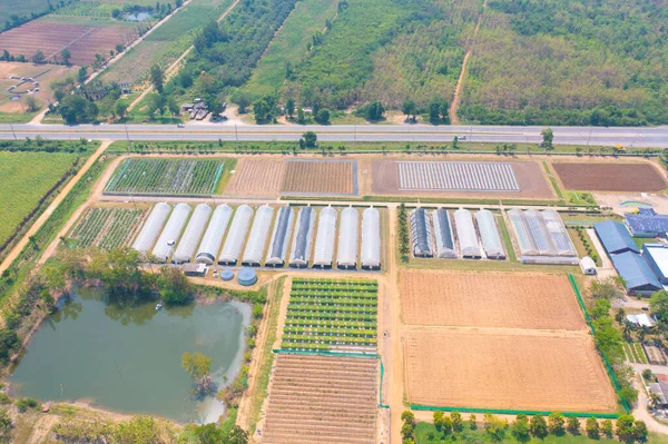 Αεροφωτογραφία Κορυφή Της Οροφής Του Κήπου Εργοστάσιο Της Βιομηχανίας Αγρόκτημα — Φωτογραφία Αρχείου