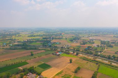 Taze çeltik pirincinin havadan görünüşü, Asya 'nın kırsal ya da kırsal kesimindeki yeşil tarım alanı. Doğa manzarası arka planı.