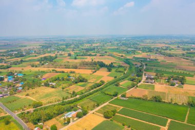 Taze çeltik pirincinin havadan görünüşü, Asya 'nın kırsal ya da kırsal kesimindeki yeşil tarım alanı. Doğa manzarası arka planı.
