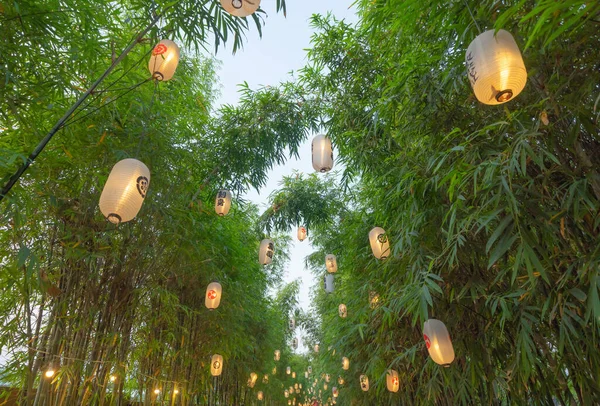 Японський Бамбуковий Ліс Високі Дерева Арашіямі Під Час Відпустки Відкритому — стокове фото