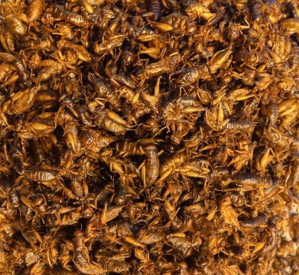 Fried insects , crickets, silkworms, grasshoppers, water bugs and other various insects street food in a local market seen around in Bangkok, Thailand.