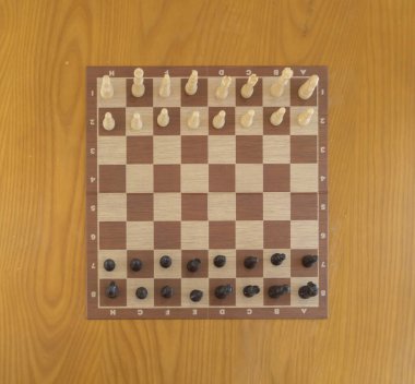 Evde satranç ya da satranç tahtası. Yaşam tarzı. İş konseptinde etkinlik.