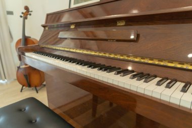 Evde ya da evde müzik performansı için piyano ve çello odası. İç dizayn. Eğlence. Kutlama etkinliği. İnsanların yaşam tarzı. Piyanist hobisi.