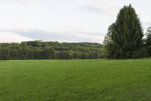 Paisaje con pastizales en el sur de Alemania — Foto de Stock