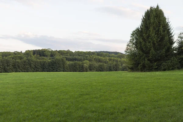 Landschap met grasland in Zuid-Duitsland Stockafbeelding