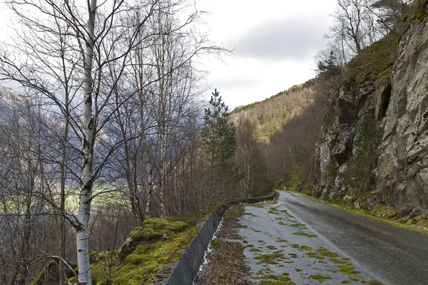 Carretera deteriorada en el paisaje rural — Foto de Stock