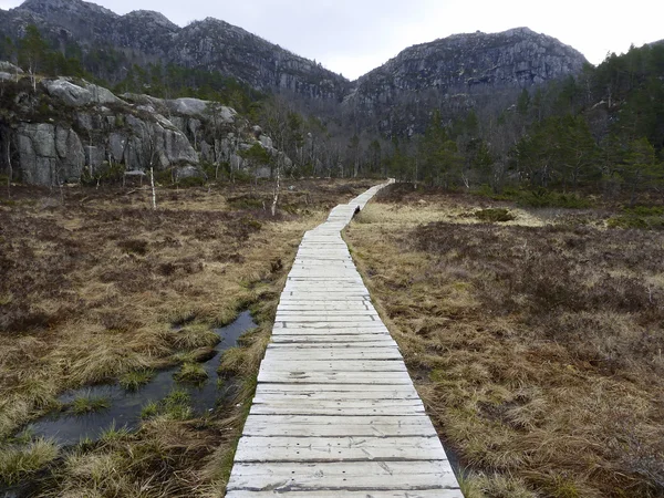 Piste en bois dans le paysage rural — Photo