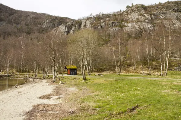 Bomen met grasland en bergen — Stockfoto