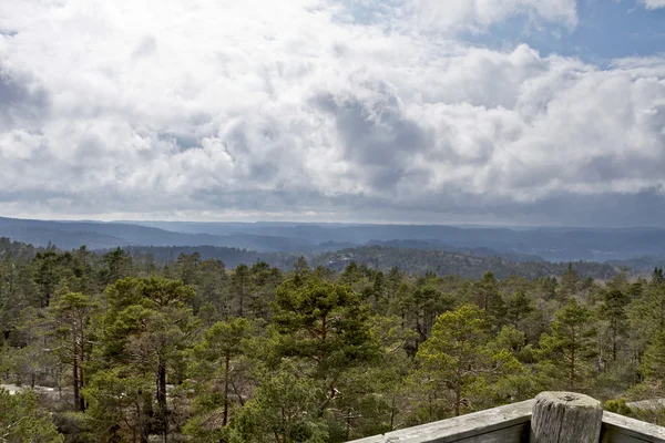 Visa över skogen med mulen himmel — Stockfoto