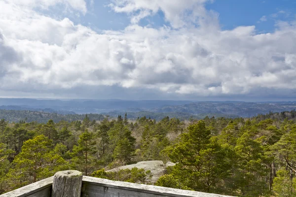 Uitzicht over bos met bewolkte hemel Rechtenvrije Stockfoto's