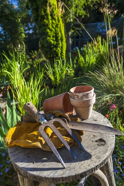 Gartenarbeit — Stockfoto