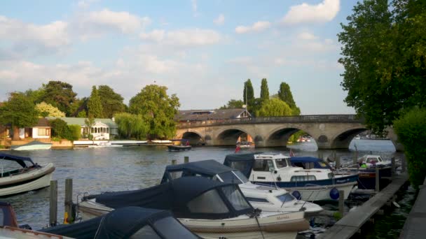 Henley Thames England Juli 2018 Freizeitboote Und Brücke Auf Dem — Stockvideo