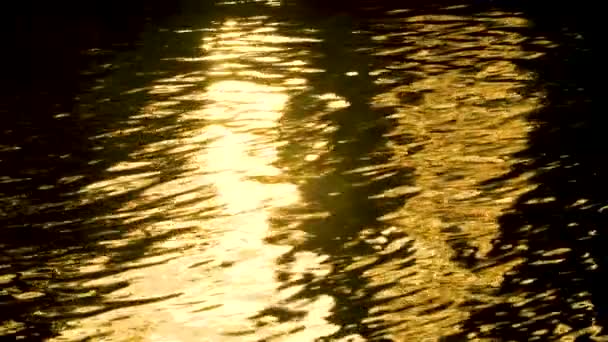 Abstrakt Natur Bakgrund Slow Motion Video Klipp Gyllene Ljus Reflektera — Stockvideo