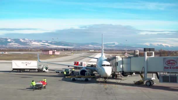 Airplane Runway Sofia Airport Bulgarien Januari 2019 Videoklipp Med Moderna — Stockvideo